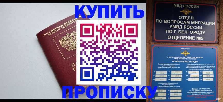 прописка регистрация в Ермолино